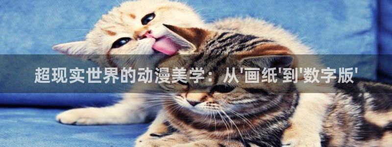 囧次元app官方下载