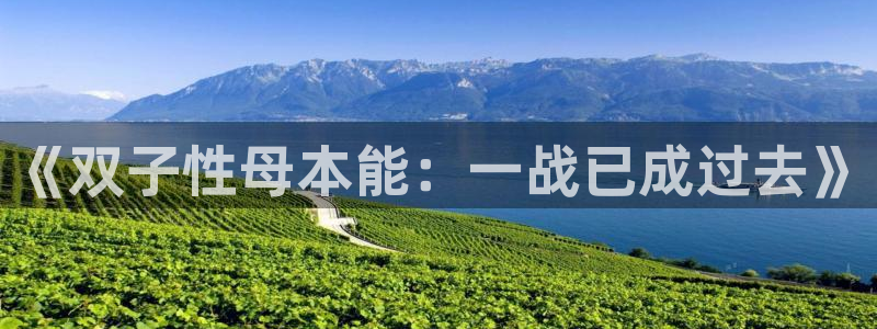囧次元下载免费版