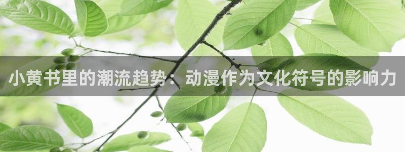 囧次元为什么打不开了：小黄书里的潮流趋势：动漫作为文化符号的影响力