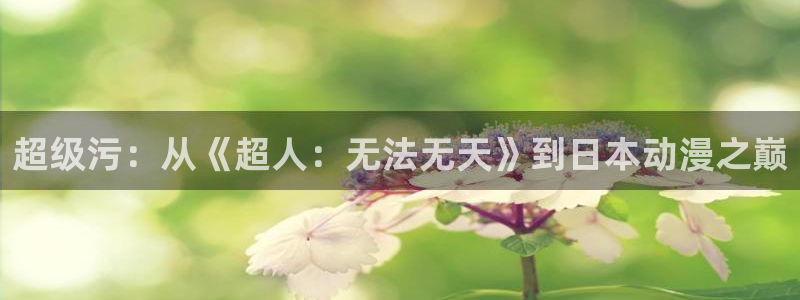 囧次元下载官方