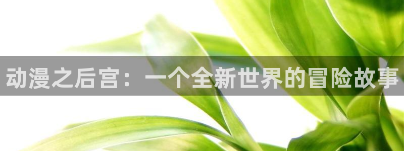 囧次元app官方正版下载