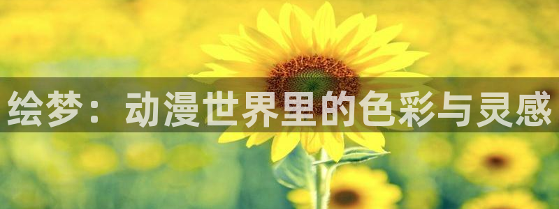 囧次元ios苹果版网站入口：绘梦：动漫世界里的色彩与灵感