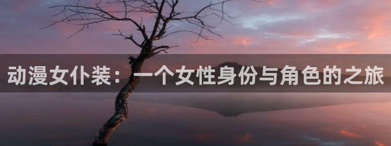 囧次元app下载官网版安卓：动漫女仆装：一个女性身份与角色的之旅