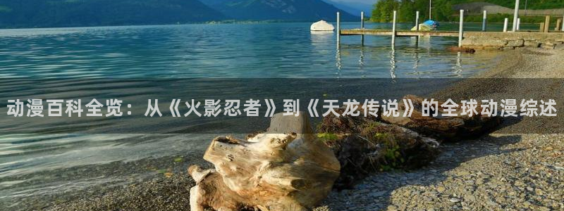 囧次元app正版：动漫百科全览：从《火影忍者》到《天龙传说》的全球动漫综述