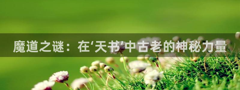 囧次元网页官网：魔道之谜：在‘天书’中古老的神秘力量