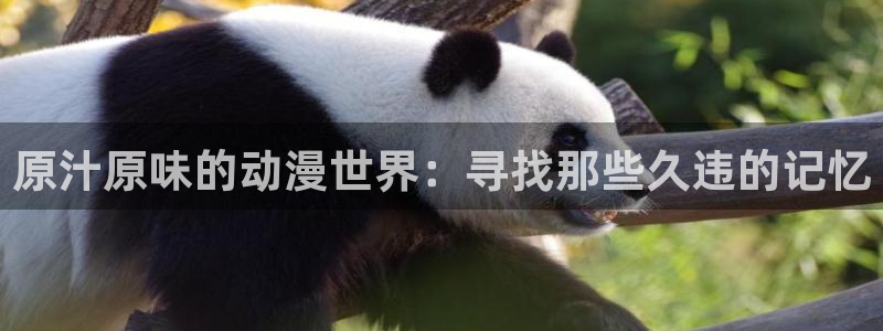 囧次元官方正版：原汁原味的动漫世界：寻找那些久违的记忆