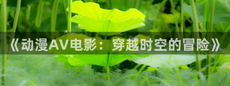 囧次元下载最新：《动漫AV电影：穿越时空的冒险》