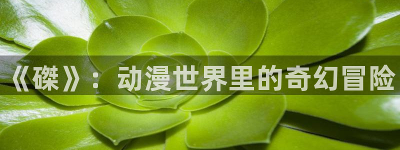 囧次元官方入口下载