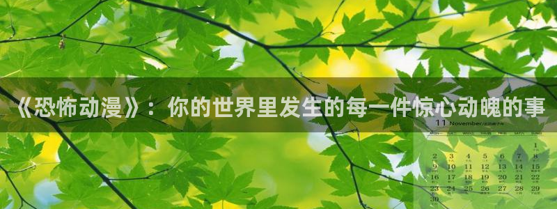 囧次元app官方正版下载
