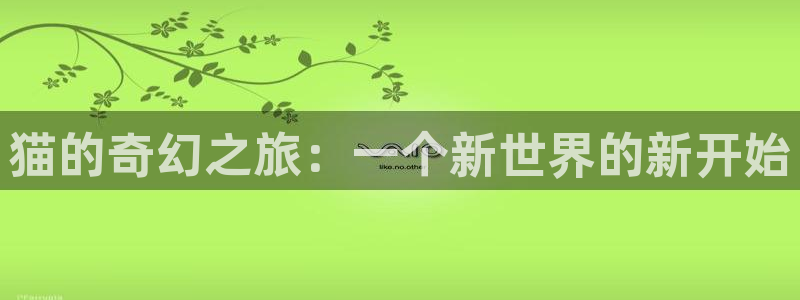 囧次元官方网站入口官网下载：猫的奇幻之旅：一个新世界的新开始