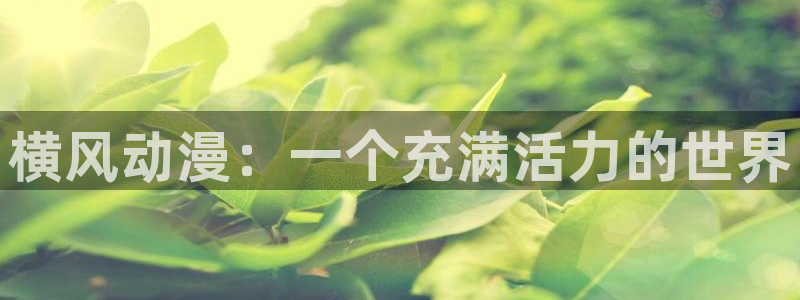 囧次元app官方正版：横风动漫：一个充满活力的世界