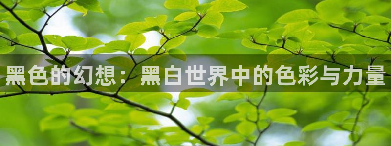 囧次元最新版本下载官方正版：黑色的幻想：黑白世界中的色彩与力量