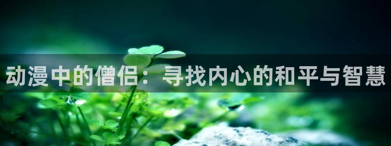 囧次元官方入口：动漫中的僧侣：寻找内心的和平与智慧