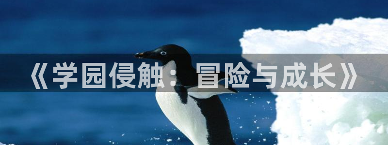 免费下载囧次元app