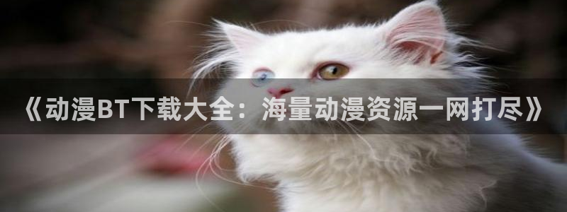 囧次元更新最新版本：《动漫BT下载大全：海量动漫资源一网打尽》