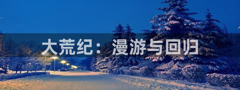 囧次元动漫官网：大荒纪：漫游与回归