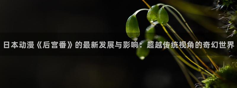 囧次元动漫官网入口观看：日本动漫《后宫番》的最新发展与影响：超越传统视角的奇幻世界