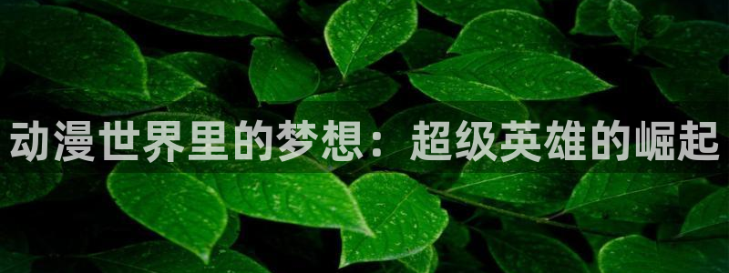 最新囧次元app下载：动漫世界里的梦想：超级英雄的崛起