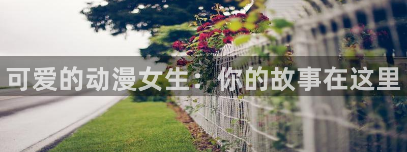 囧次元软件下载：可爱的动漫女生：你的故事在这里
