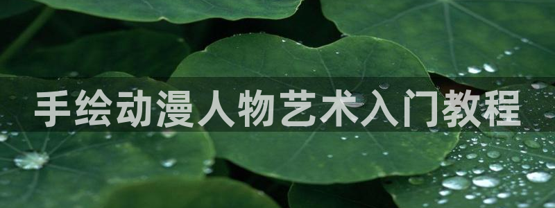 囧次元在线：手绘动漫人物艺术入门教程
