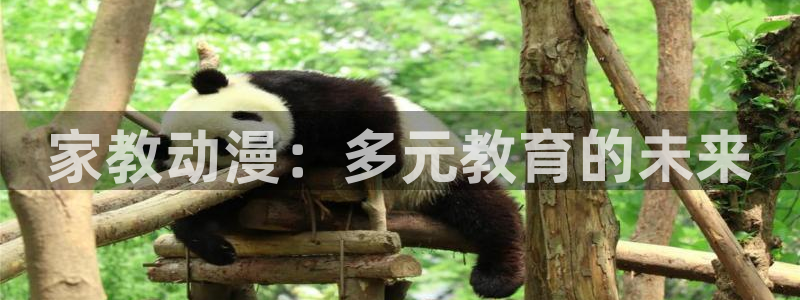 囧次元app最新版：家教动漫：多元教育的未来