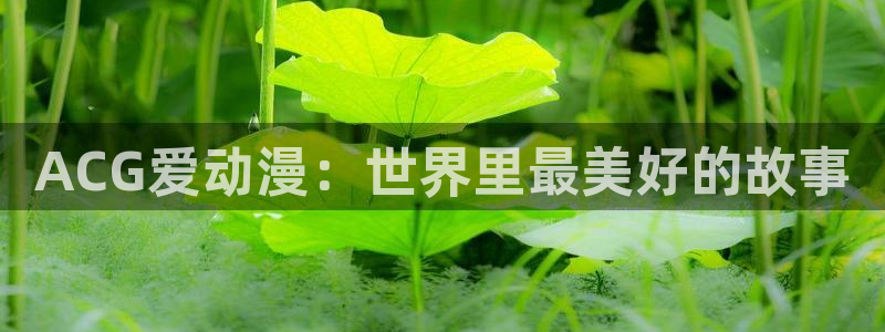 囧次元官方网站下载