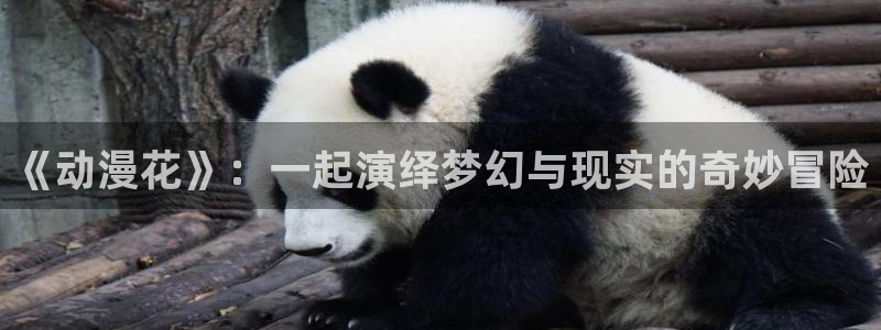 囧次元app官方下载：《动漫花》：一起演绎梦幻与现实的奇妙冒险