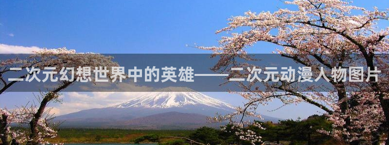 囧次元免费版：二次元幻想世界中的英雄——二次元动漫人物图片