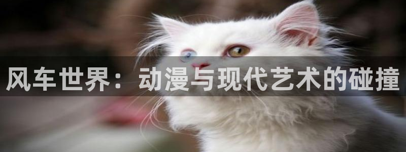 囧次元可看片子版：风车世界：动漫与现代艺术的碰撞