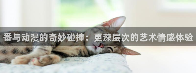 囧次元安卓版下载：番与动漫的奇妙碰撞：更深层次的艺术情感体验