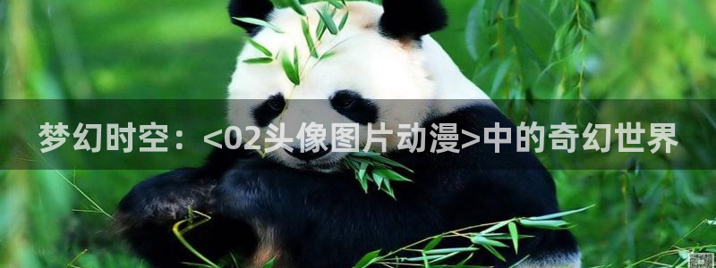 囧次元最新：梦幻时空：<02头像图片动漫>中的奇幻世界
