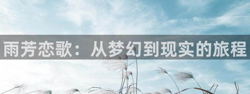 囧次元正版下载安装