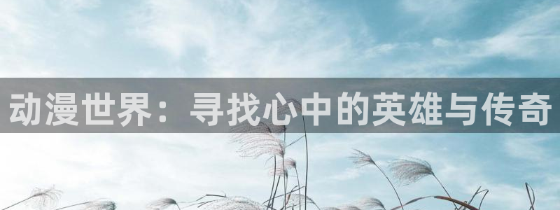 囧次元官方正版入口：动漫世界：寻找心中的英雄与传奇