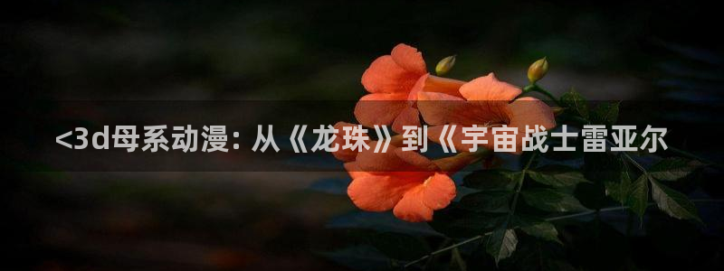 囧次元官方入口下载