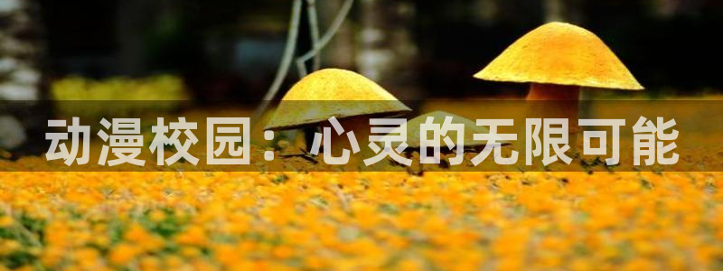 囧次元正版下载安装