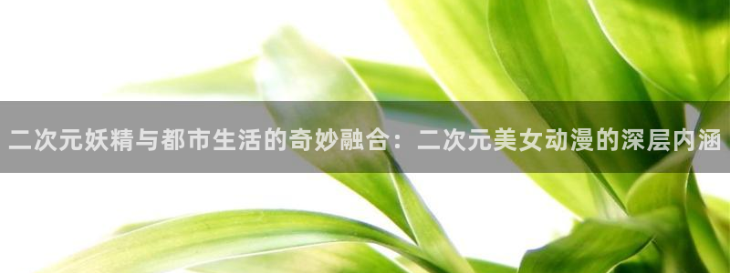 囧次元大全：二次元妖精与都市生活的奇妙融合：二次元美女动漫的深层内涵