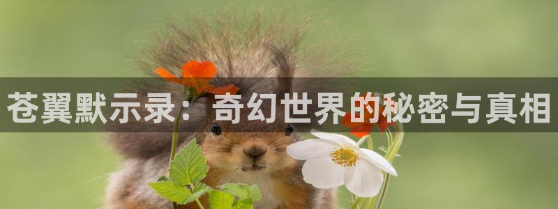 囧次元app下载入口最新版本：苍翼默示录：奇幻世界的秘密与真相