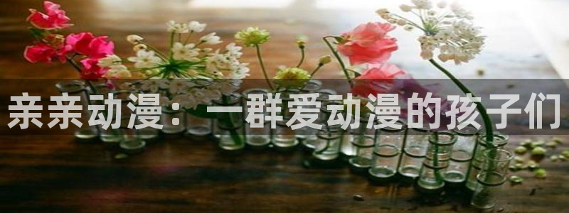 囧次元看动漫免费：亲亲动漫：一群爱动漫的孩子们