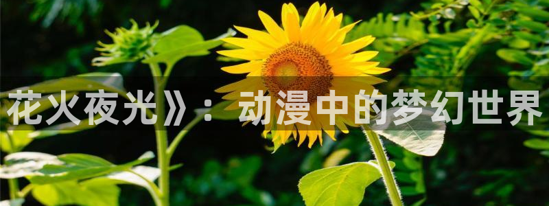 囧次元官方下载入口：花火夜光》：动漫中的梦幻世界