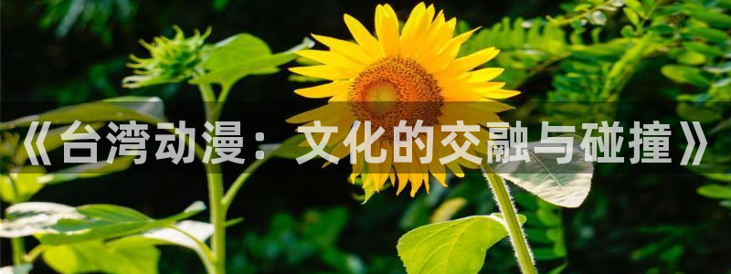 囧次元官方网站入口：《台湾动漫：文化的交融与碰撞》