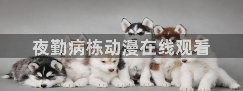 囧次元下载官方正版：夜勤病栋动漫在线观看