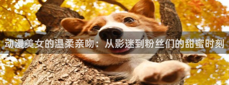 囧次元官方网站下载