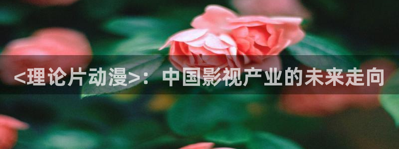 囧次元动漫官网下载：<理论片动漫>：中国影视产业的未来走向