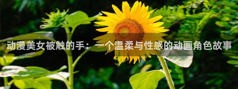 囧次元官方入口官网：动漫美女被触的手：一个温柔与性感的动画角色故事