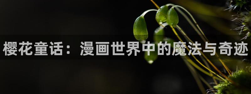 囧次元官方网站入口官网下载：樱花童话：漫画世界中的魔法与奇迹