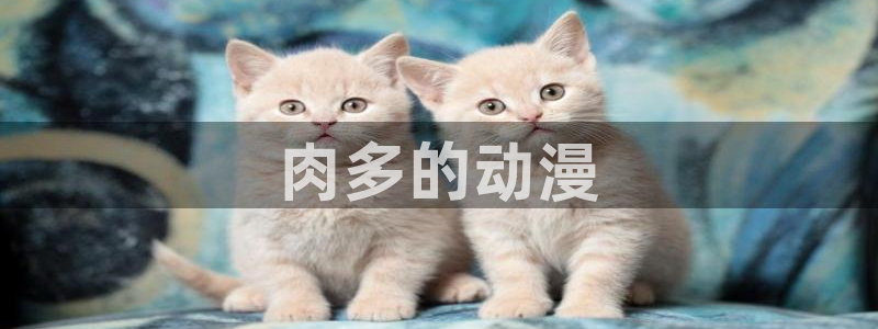 囧次元.