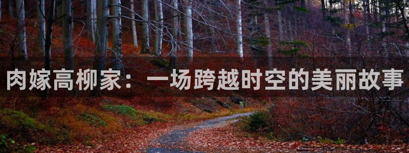 囧次元动漫官方网入口