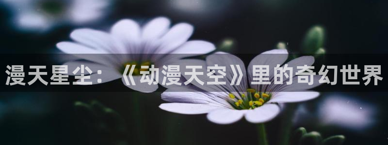 囧次元下载正版下载