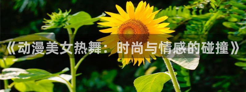 囧次元官方正版app下载：《动漫美女热舞：时尚与情感的碰撞》