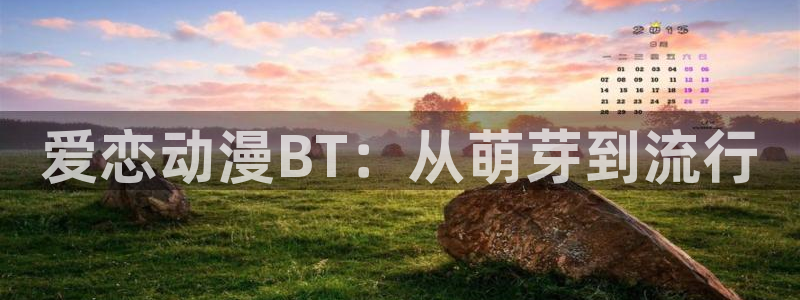 囧次元新版本下载